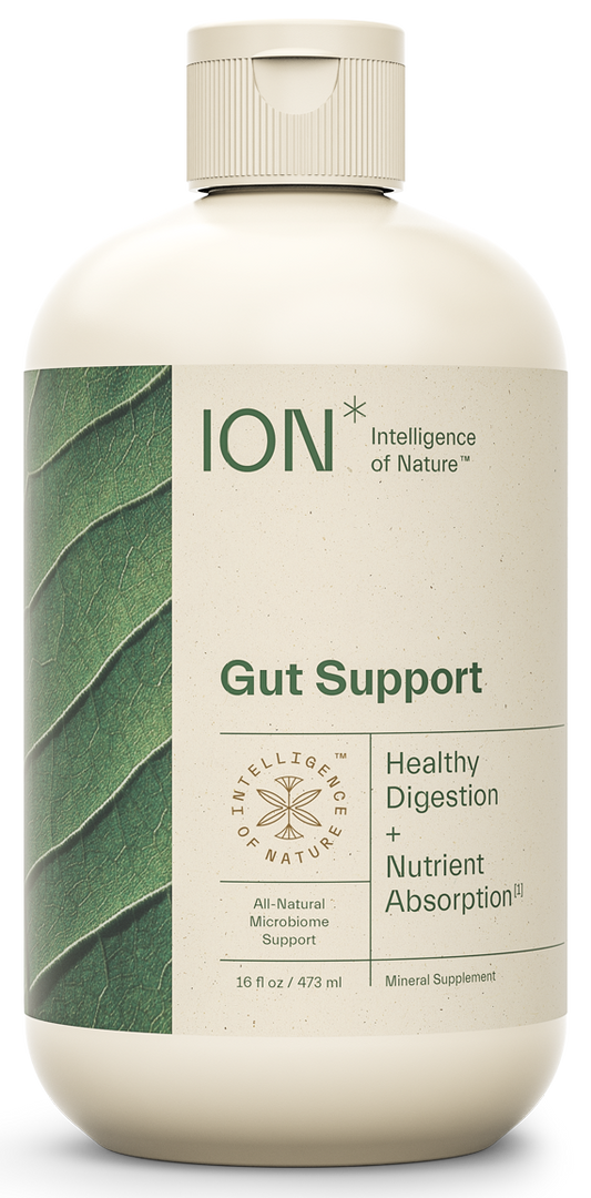 ION* Gut Support 16 fl oz