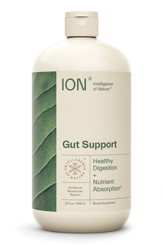 ION* Gut Support 32 fl oz